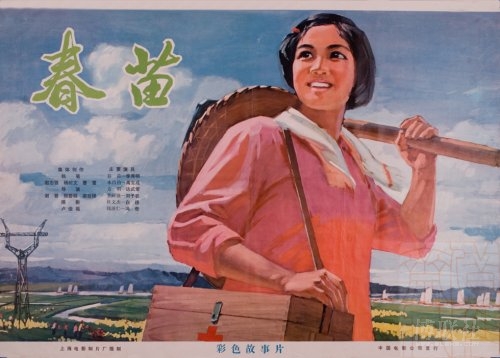 ナイサクラ大学degree certificate